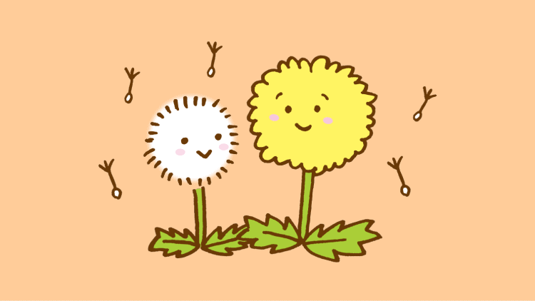 羽毛 布団 天 日干し