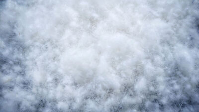 羽毛の質で決まるリフォーム後のふくらみ