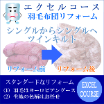 �G�N�Z���R�[�X�E�V���O������V���O���c�C���L���g�^�C�v