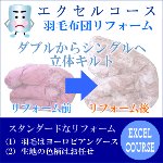 �_�u������V���O���փ��t�H�[���y���̃L���g�z�G�N�Z���R�[�X