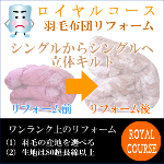 �����C�����R�[�X�V���O������V���O���c�C���L���g�^�C�v