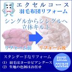 �V���O������V���O���փ��t�H�[���y���̃L���g�z�G�N�Z���R�[�X